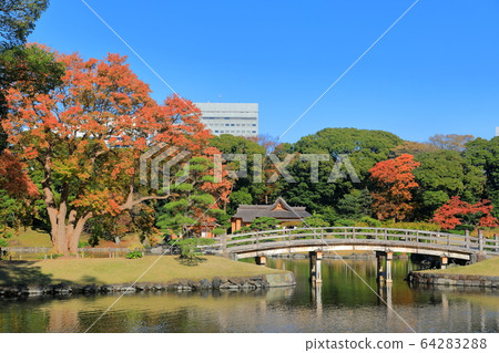 [東京] Hamarikyu的秋葉 64283288