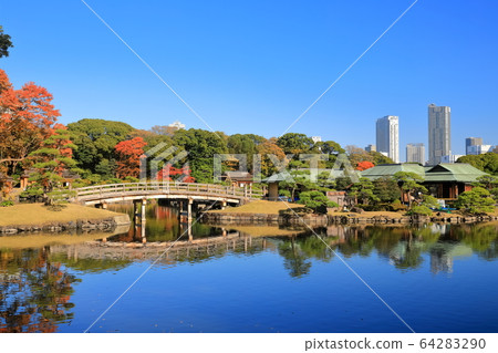 [Tokyo] Ochaya of Hamarikyu Nakajima of autumn leaves 64283290