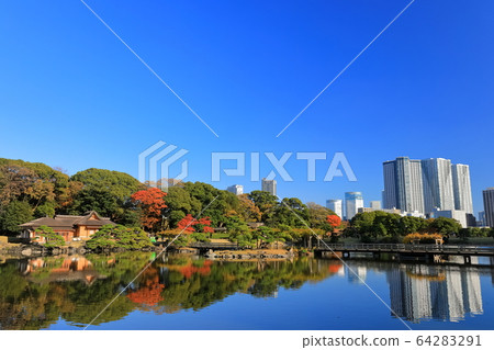[Tokyo] Ochaya of Hamarikyu Nakajima of autumn leaves 64283291