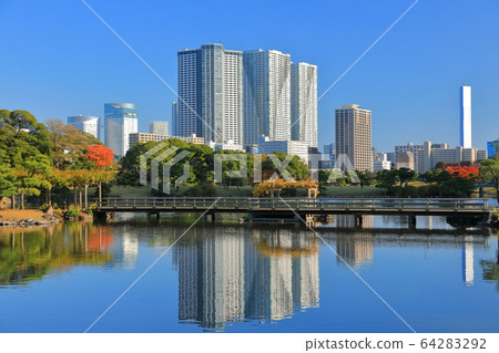[Tokyo] Autumn leaves of Hamarikyu 64283292
