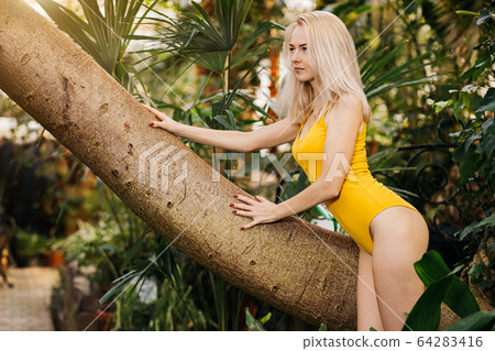 Woman in swimsuit on tropical plants background Woman in swimsuit on tropical plants background 64283416