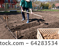 Man planting potatoes in the gardeen 64283534