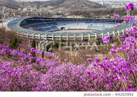 Wonmi Azalea Wonmi Azalea 64283992