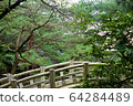 Buddhist temple on mountain in Seoul 64284489