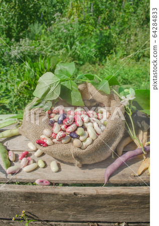 Different types of beans background 64284833