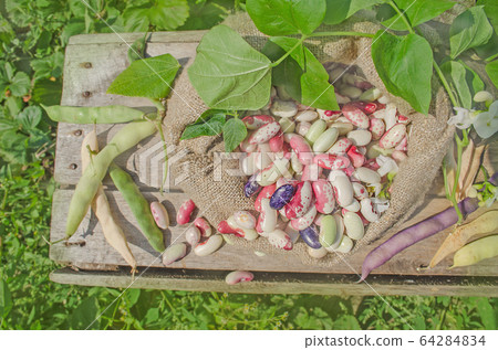 Lima beans in burlap bag 64284834
