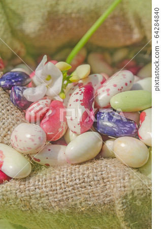 Different types of beans background 64284840
