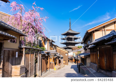 “京都府”八坂寶塔和櫻花 64285488