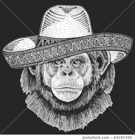 Chimpanzee, portrait. Sombrero is traditional mexican hat. Mexico. Monkey face. Ape head. 64285489