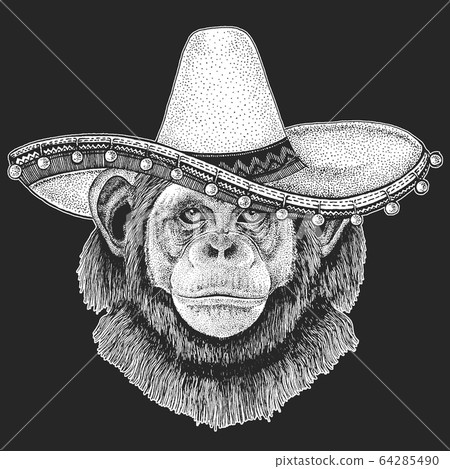 Chimpanzee, portrait. Sombrero is traditional mexican hat. Mexico. Monkey face. Ape head. 64285490
