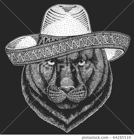 Black panther, puma. Sombrero is traditional… - Stock Illustration