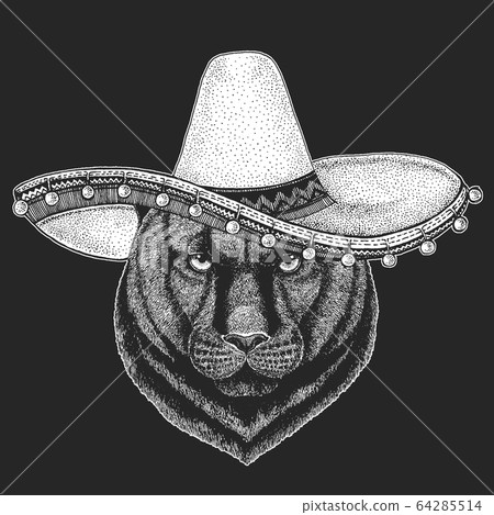 Black panther, puma. Sombrero is traditional… - Stock Illustration