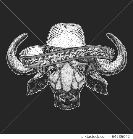 buffalo, bison, bull, cow. Sombrero 