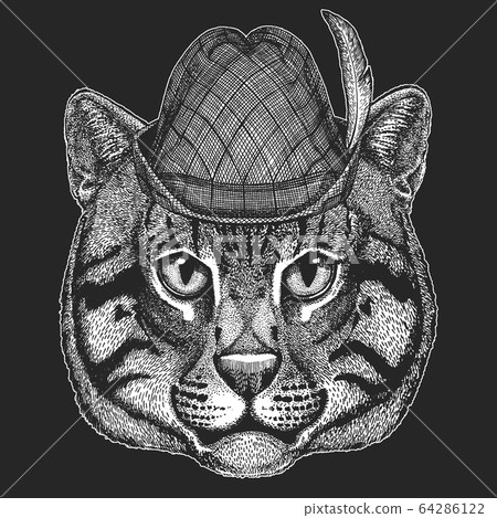 Face of domestic cat. Oktoberfest. Tirol traditional hat. Beer festival. Portrait of animal. Cute kitty, kitten. Face of domestic cat. Oktoberfest. Tirol traditional hat. Beer festival. Portrait of animal. Cute kitty, kitten. 64286122