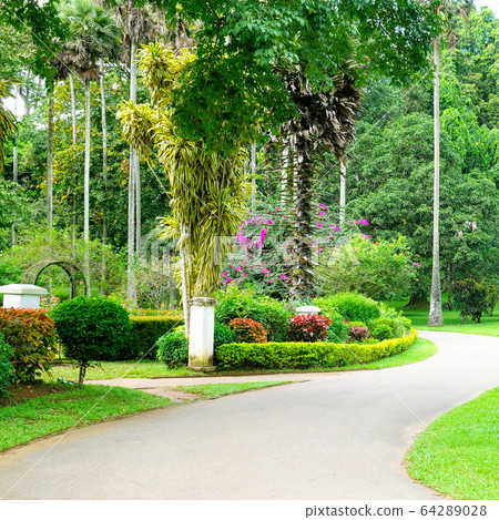 Summer garden with beautiful green lawns . 64289028