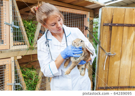 Happy young veterinarian woman with stethoscope Happy young veterinarian woman with stethoscope 64289095
