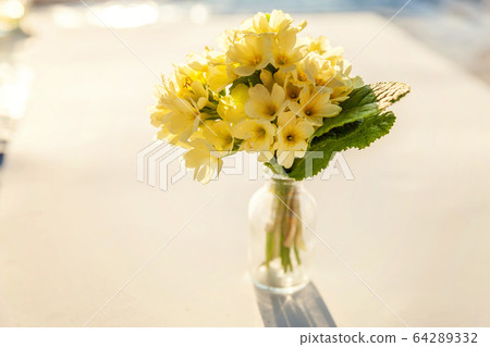 Easter concept. Bouquet of Primrose Primula with Easter concept. Bouquet of Primrose Primula with 64289332