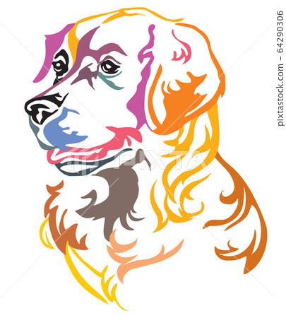 Colorful decorative portrait of Dog Golden 64290306