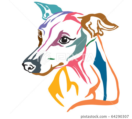 Colorful decorative portrait of Dog Italian Colorful decorative portrait of Dog Italian 64290307