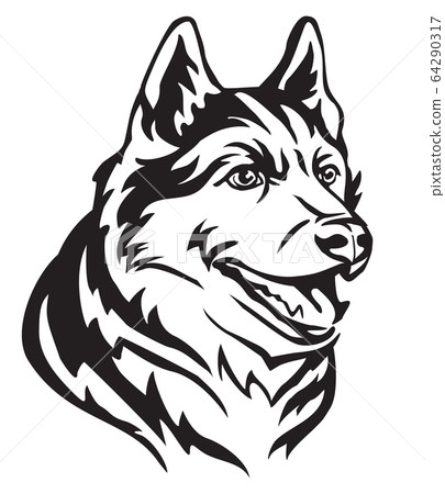 Decorative portrait of Dog Siberian Husky vector 64290317