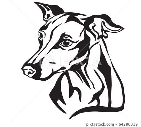 Decorative portrait of Dog Italian Greyhound 64290319