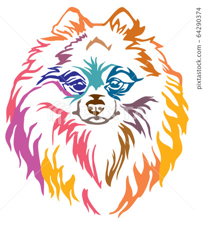 Colorful decorative portrait of Dog Pomeranian 64290374