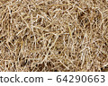 Straw, hay background texture 64290663