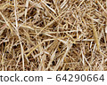 Straw, hay background texture 64290664