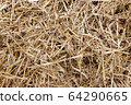 Straw, hay background texture 64290665
