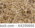 Straw, hay background texture 64290666