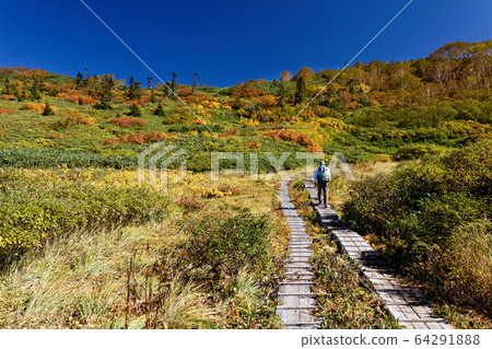Hikers near the Myoko Mountain Range and Tengu Garden in autumn leaves 64291888