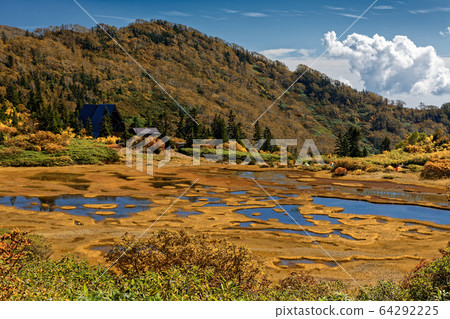 秋天的妙高山脈，高谷池塘沼澤地和高谷池塘胡特 64292225