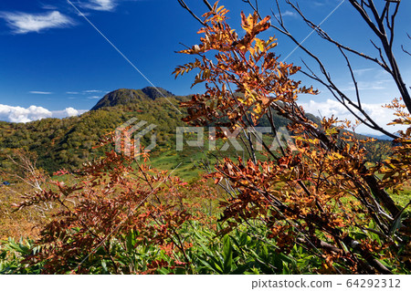 黑澤池塘附近的秋葉和妙高山 黑澤池塘附近的秋葉和妙高山 64292312