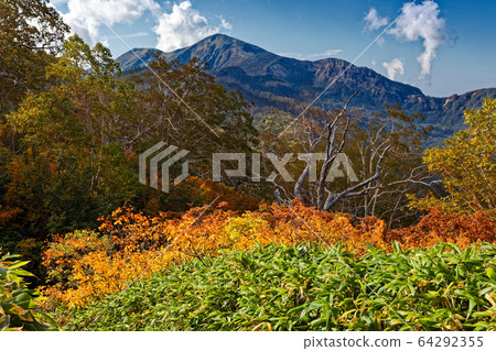 秋葉和妙高山脈和大倉No津的平內山 秋葉和妙高山脈和大倉No津的平內山 64292355
