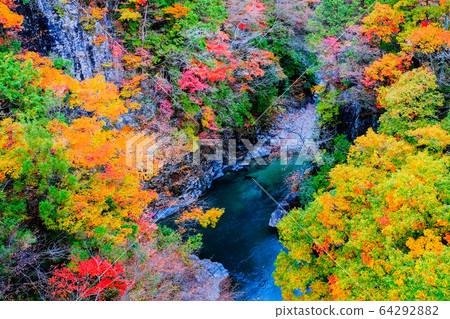 土chi峽(秋天) 土chi峽(秋天) 64292882