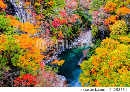 土chi峽(秋天) 土chi峽(秋天) 64292884