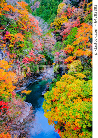 Tsuchikyo Gorge (Autumn) Tsuchikyo Gorge (Autumn) 64292892