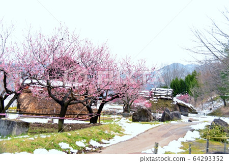 降雪不均信濃 降雪不均信濃 64293352