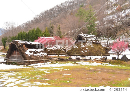 降雪不均信濃 降雪不均信濃 64293354