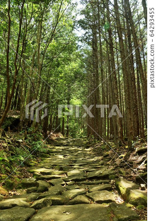 Mie Prefecture Kumano Kodo Magoshi Pass Mie Prefecture Kumano Kodo Magoshi Pass 64293455