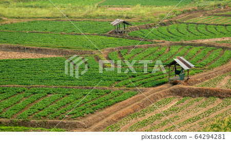 Agricultural plots in the highlands and valleys 64294281