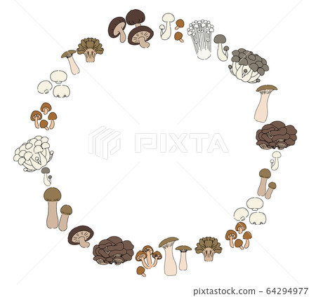 mushroom mushroom 64294977