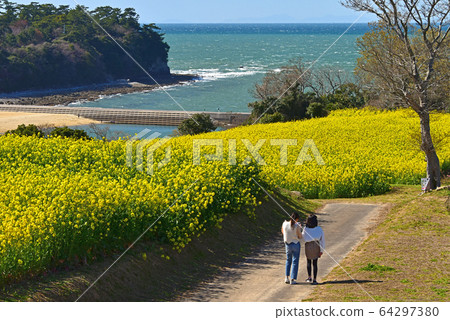 大分縣國崎半島強姦花和海 64297380