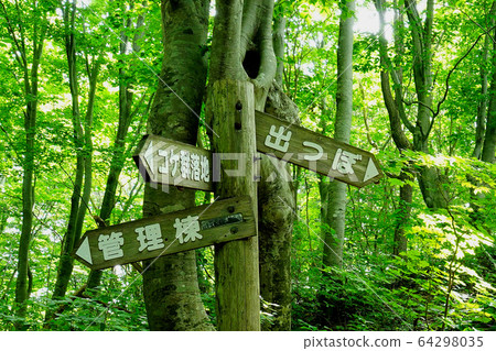 Shishigahana Marshland Akita Prefecture Tohoku 64298035