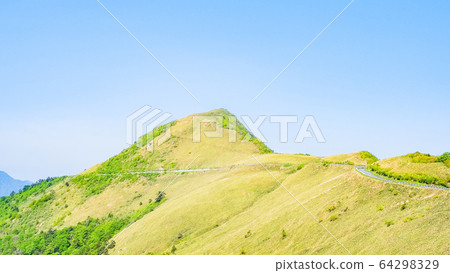 瓶森林森林公路 瓶森林森林公路 64298329