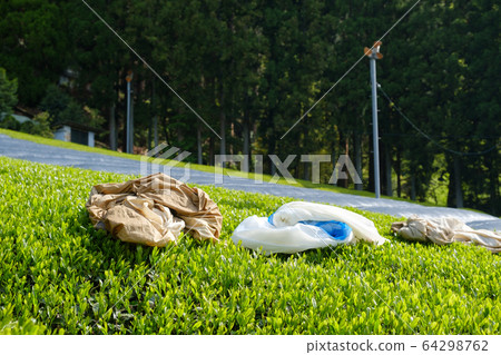 茶園和收穫袋,京都,京都和歌町新茶一番茶 茶園和收穫袋,京都,京都和歌町新茶一番茶 64298762