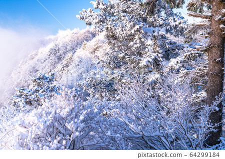  《山梨縣》桑托格冰雪森林 64299184