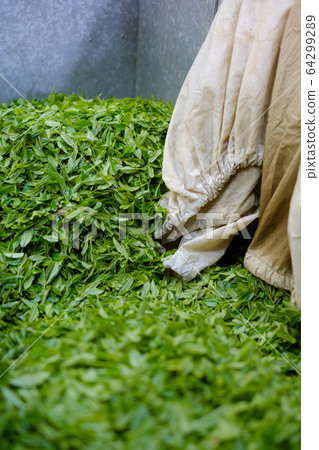 收穫茶葉新茶一番茶容器 64299289