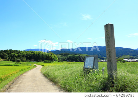Asuka Village: Historic Site of Daikandaiji Temple 64299785