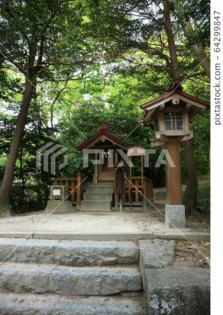 From Izumo Taisha From Izumo Taisha 64299847